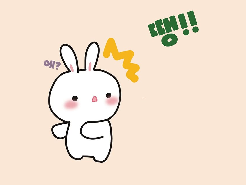 쏨쏨이 대표 이미지